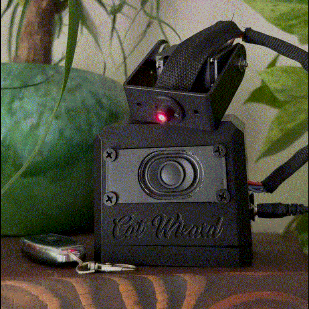 Cat Wizard Laser Toy