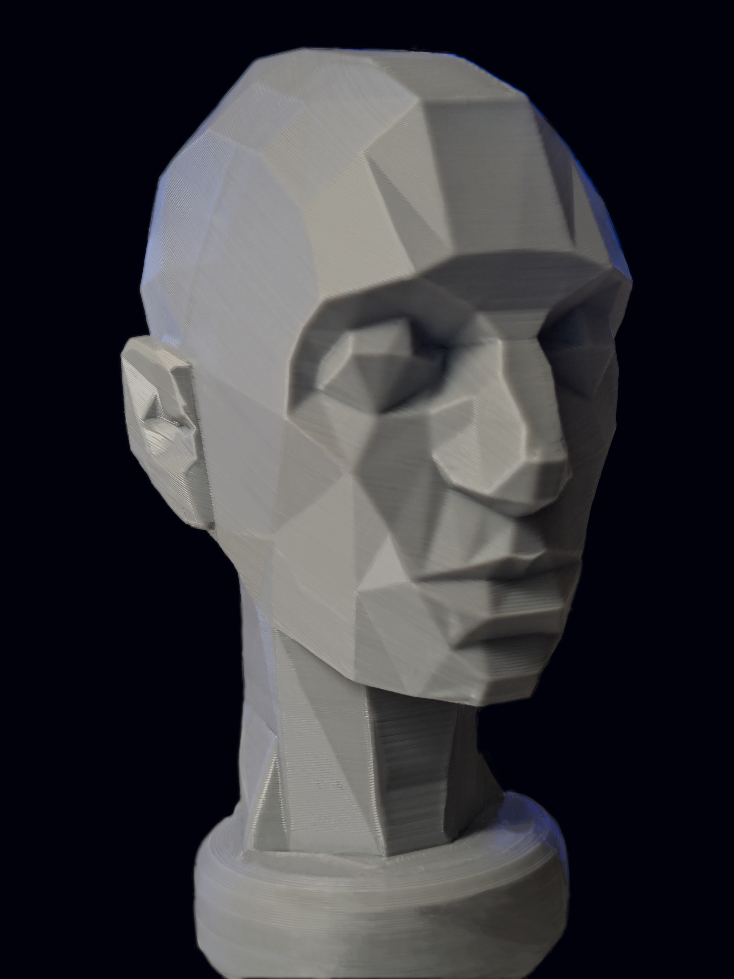 Poseable Mannequin Head